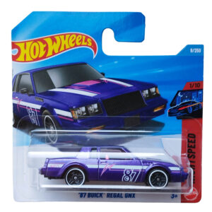 '87 Buick Regal GNX